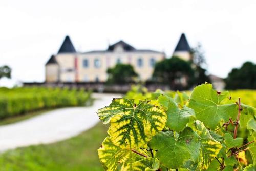 Le Caudalie au cœur des vignobles Pessac Léognan