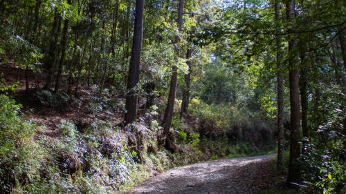 Termales la Montaña - Hot Springs