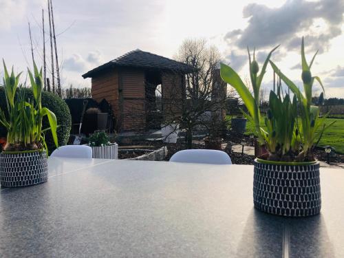 Gastenkamer met jacuzzi in de Vlaamse Ardennen