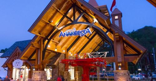A Bears Hideaway in Sevierville, USA