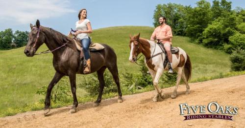 A Bears Hideaway in Sevierville, USA