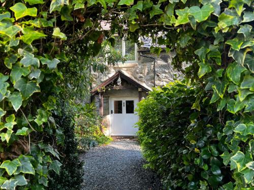 Old Mill Retreat, by River/Sea/Country Nr Barmouth Dogs