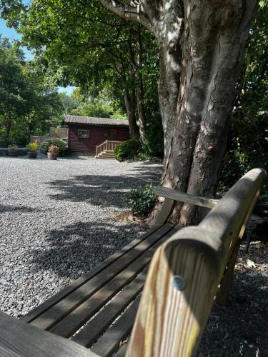 Old Mill Retreat, by River/Sea/Country Nr Barmouth Dogs