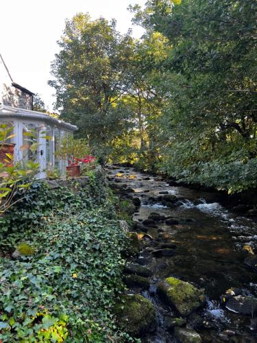 Old Mill Retreat, by River/Sea/Country Nr Barmouth Dogs