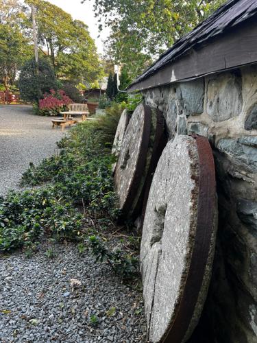 Old Mill Retreat, by River/Sea/Country Nr Barmouth Dogs