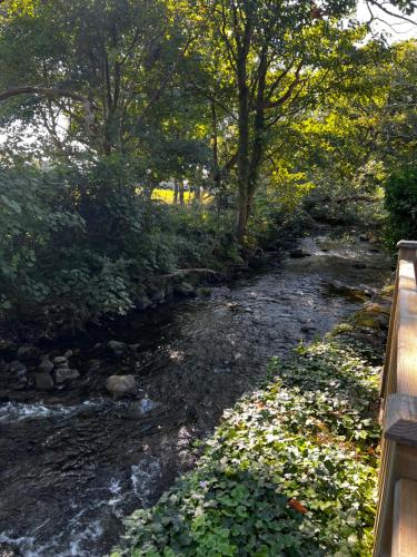 Old Mill Retreat, by River/Sea/Country Nr Barmouth Dogs