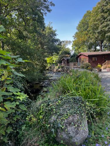 Old Mill Retreat, by River/Sea/Country Nr Barmouth Dogs