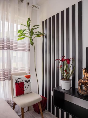 Amber's Cozy Place, Tirana (photo 4)