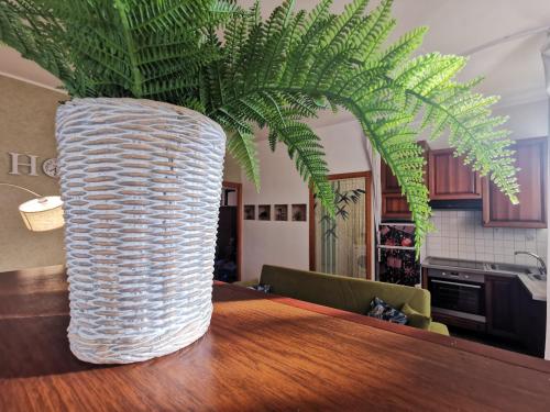 罗马 OSTIA HOME 5星级 单人房 泳池