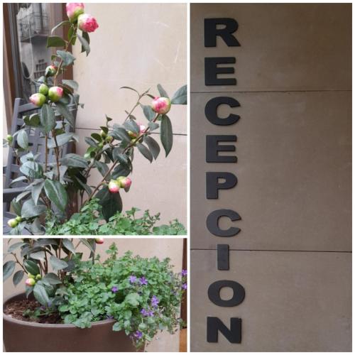 Hostal Hispano