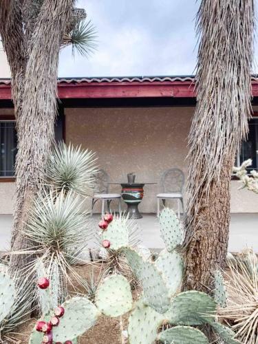 Ranch with Hot Tub by Joshua Tree Park/Pioneertown in Yucca Valley, USA