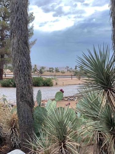 Ranch with Hot Tub by Joshua Tree Park/Pioneertown in Yucca Valley, USA