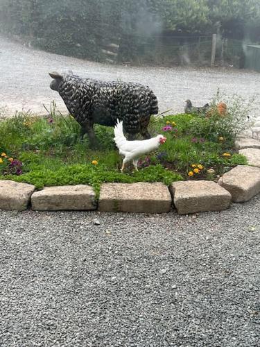 Countryside cottage with private garden & hot tub in 利夫頓