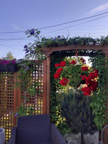 Kert, Noclegi Dobrzeń Wielki (Noclegi Dobrzen Wielki) in Brynica