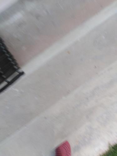 دش, 17 driffield road in Amalinda