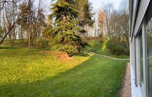 Newly renovated ready to welcome you