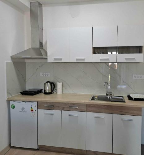 Apartment B&S, Skopje (photo 6)