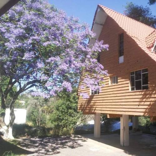 . Posada Rincon Campirano
