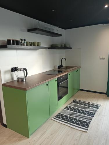 virtuve, Agroturystyka "Apartament na wsi" Bory Tucholskie in Okoniny Nadjeziorne