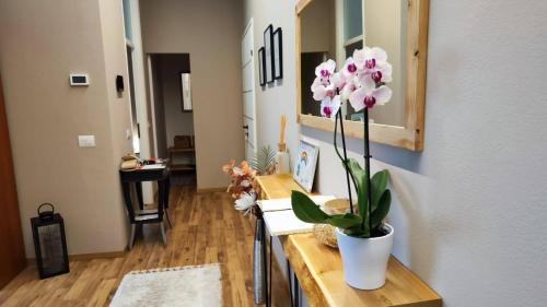 B&b ARCOBALENO - 2 min walk to Bernina Express 3