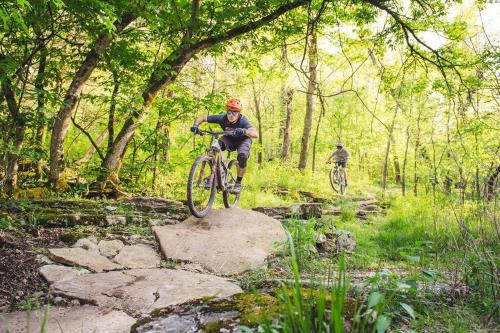 Staggerwing-MTB Oasis in Bella Vista, USA