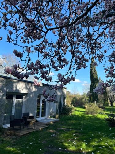 La maison du jardin gîte à louer Courchelettes