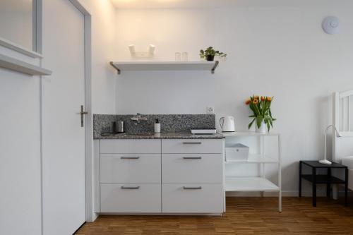 Apartments Zuerich - Business Studio Albisriederplatz, Zürich (Foto 4)