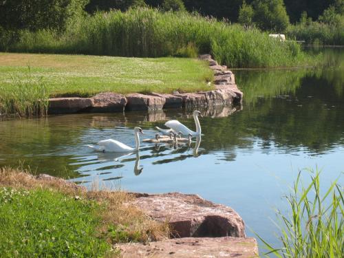 沙灘, 艾克斯特羅姆斯圖格爾度假屋 (Ekstroms Stugor) in 歌比