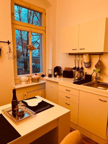 Stylische Altbauwohnung Dresden Striesen ruhig und zentral, Dresden (Foto 8)