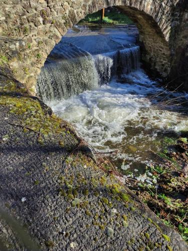 Chambre atypique : La Grotte in Bez-et-Esparon