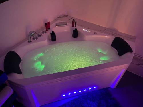 Karstais baseins, Chalet Lutétia, SPA & confort (Chalet Lutetia, SPA & confort) in Cormeilles-en-Parisis