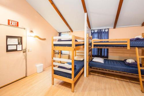 Bed in Women's 16-Bed Dormitory