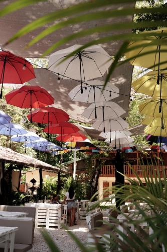 Restaurant, Casa del Sol in Santa Teresa