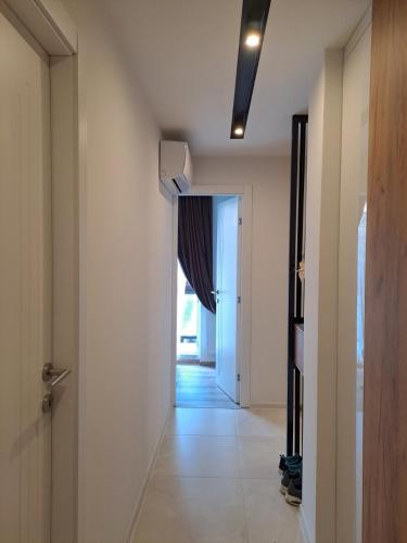 One-Bedroom Apartment image 10