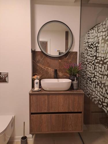 One-Bedroom Apartment image 8