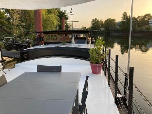 Péniche au calme sur la Seine gîte à louer Chatou