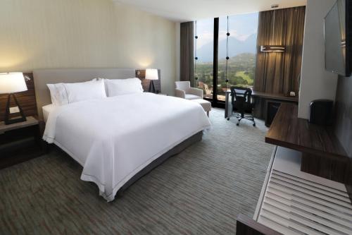 Holiday Inn Express & Suites Monterrey Valle by IHG