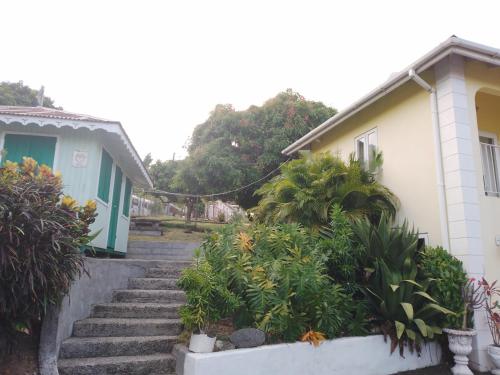 Kay Marni: Your Saint Lucian home