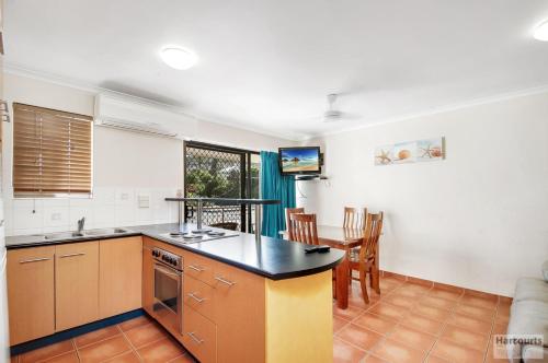 Driftwood on the Beach