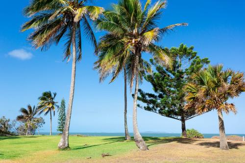 Driftwood on the Beach, Yeppoon (fotografie 3)