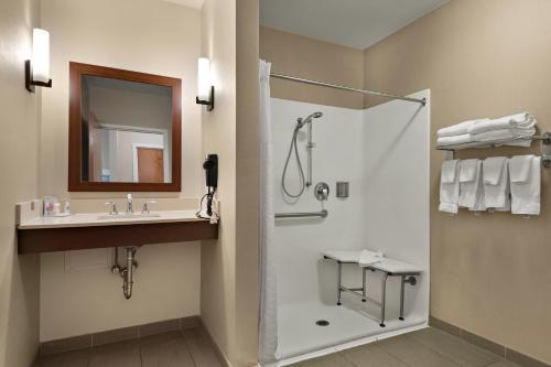 Efficiency One Room Suite with Roll-In Shower - Disability Access/Non Smoking
