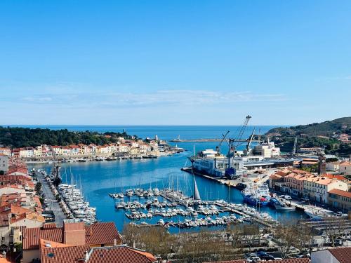 Studio Port-Vendres, 1 pièce, 4 personnes - FR-1-309-256 - Location saisonnière - Port-Vendres