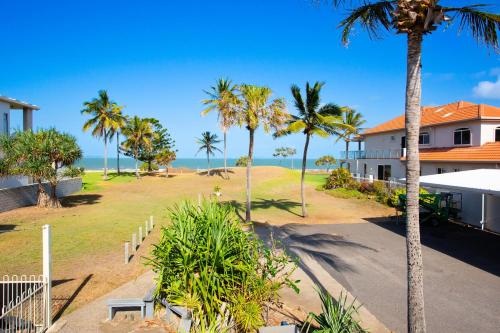 Driftwood on the Beach