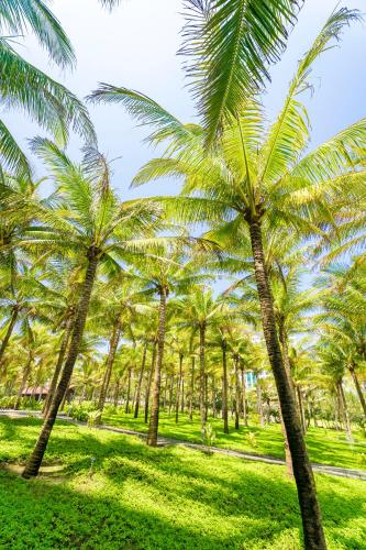 View, Tuana Hotels Cam Ranh Resort  in Cam Hải Đông