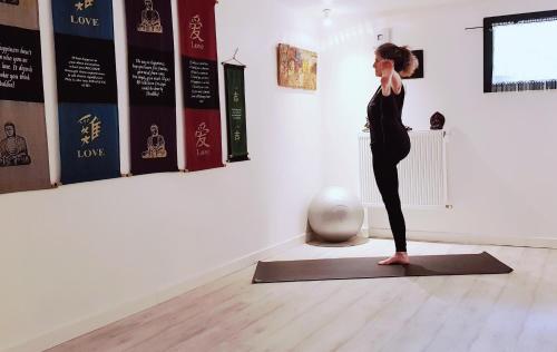 YOG Studio, Soorts-Hossegor (fotografie 4)