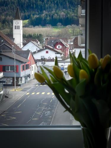 Hotel La Croix Blanche - Bassecourt in Glovelier