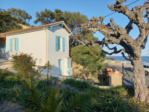 Maison 4 face a la mer grand Jardin Ideal Famille avec pluri Animaux Saint Clair Le Lavandou