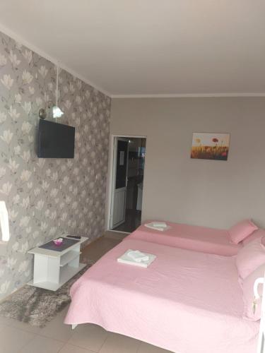 Triple Room room in Vila Alexandru