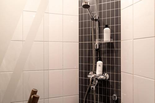 Cozy Studio with private Sauna, Helsinki (photo 5)
