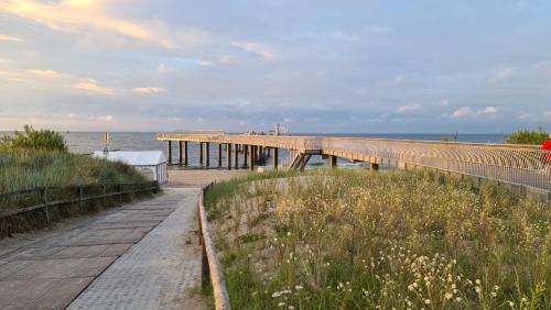 Haus 5 Elemente- Fewo Wasser mit Terrasse und Bio-Kamin - image 2
